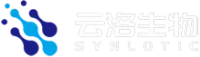 Biotech synlotic （Shanghai） Co., Ltd.
