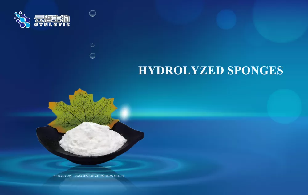 Spúinsí Hidrolyzed: Teicneolaíocht Hydrating agus Leaisteacha Craiceann ón bhFarraige