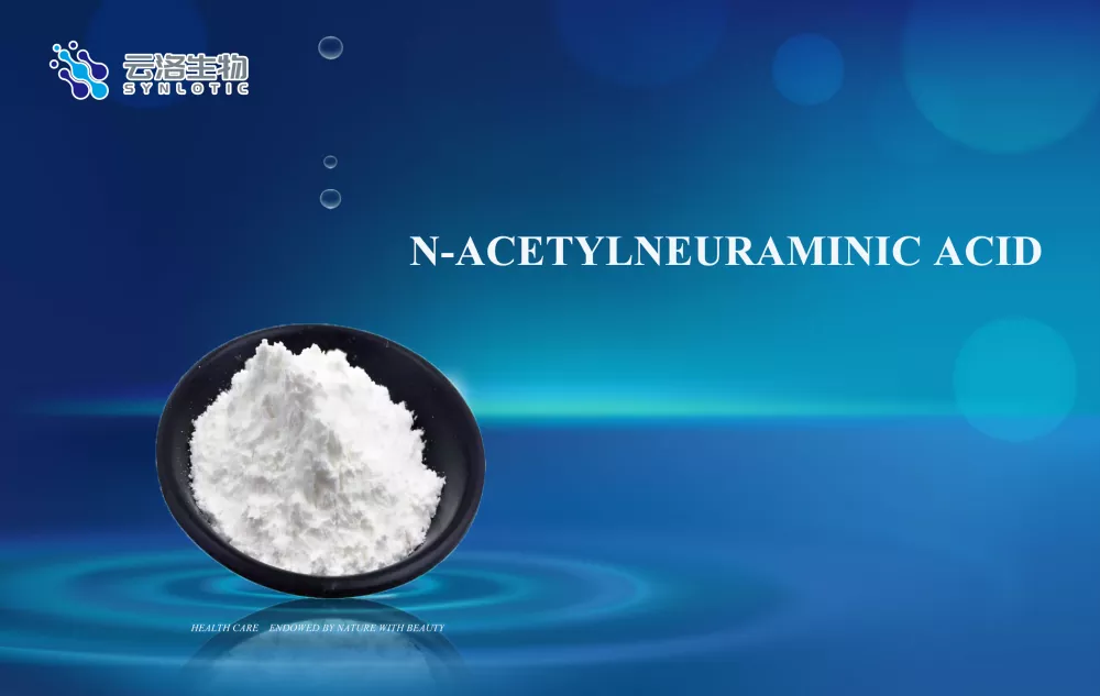 Aigéad n-acetylneuraminic