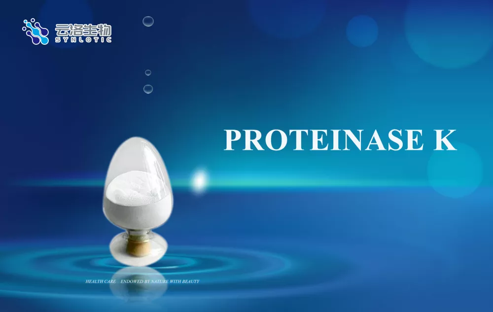 Próitéineas k