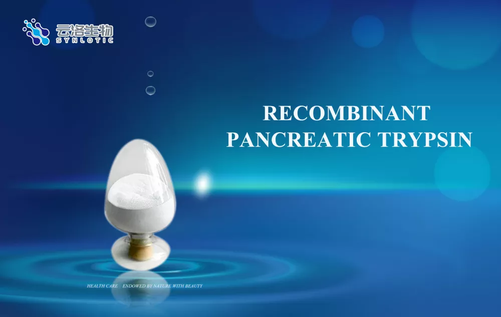 Trypsin pancreatic athchuingreach